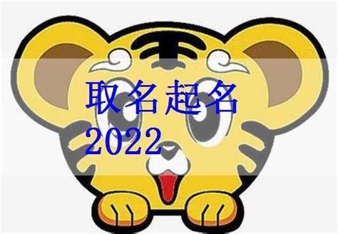 2022虎年男寶寶名字